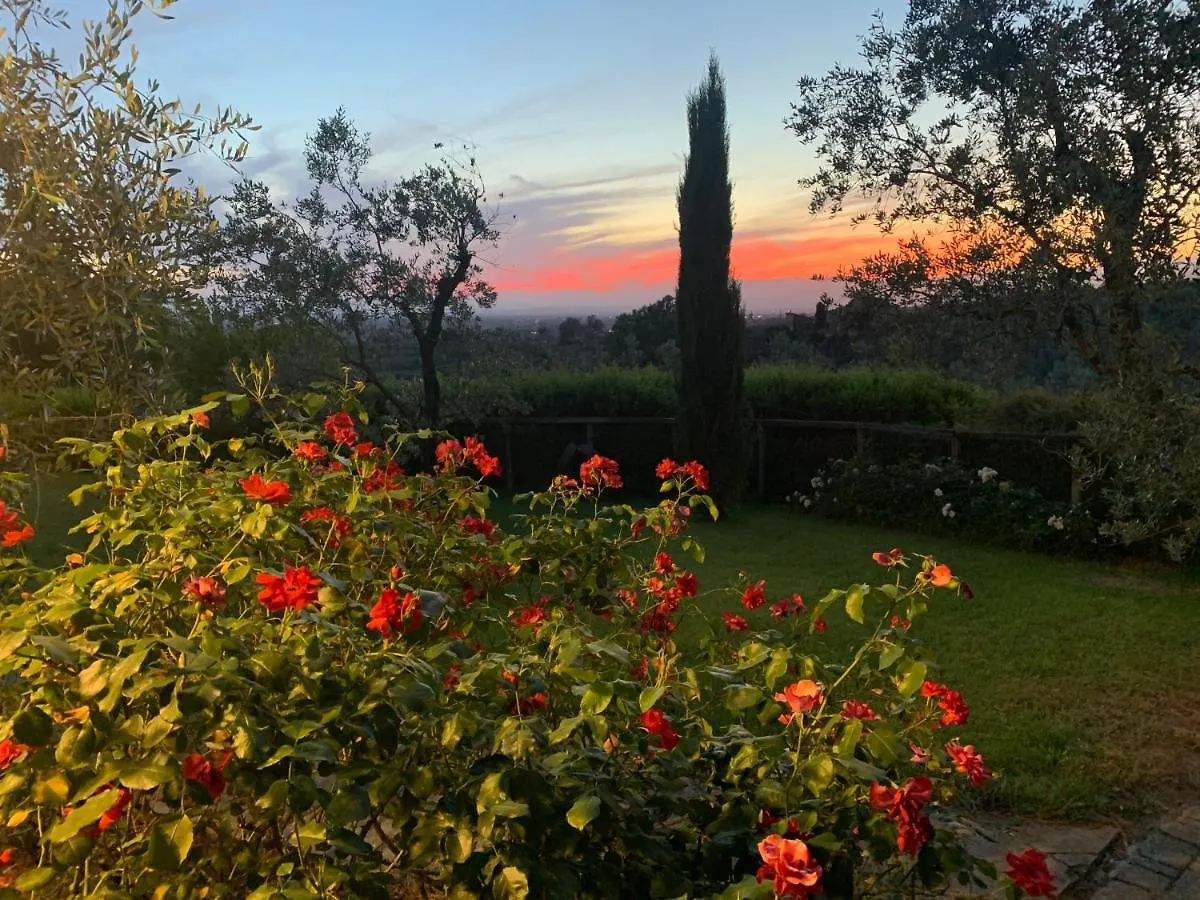 Casa di campagna Podere Jana Antico Frantoio Vinci