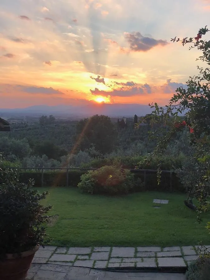 Podere Jana Antico Frantoio Vinci Italien