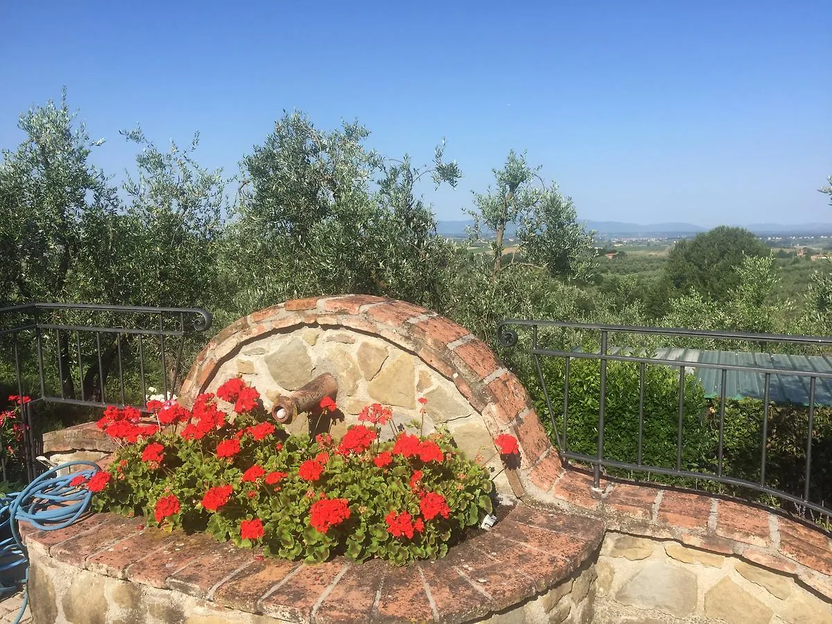 Podere Jana Antico Frantoio Vinci