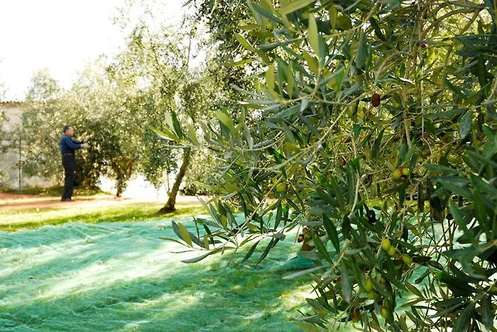 Casa di campagna Podere Jana Antico Frantoio Vinci Italia
